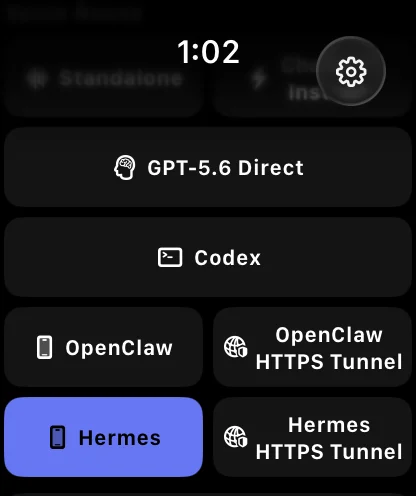 Voice routes in VoiceClaw Realtime on Apple Watch